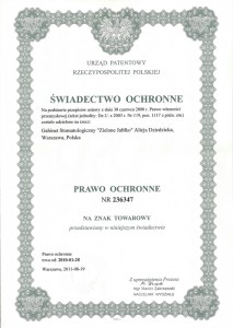 Leczenie kanałowe pod mikroskopem